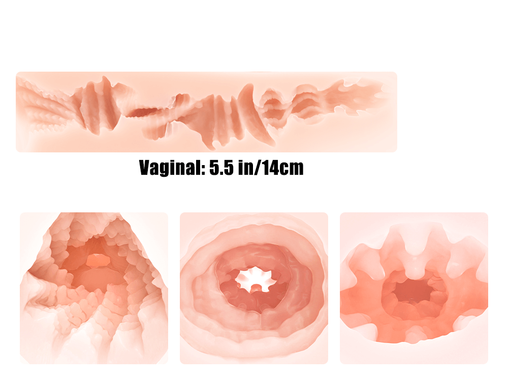 Image of Bella:Male Masturbator Pocket Pussy Seashells Girls