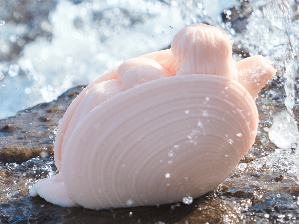 Image of Bella:Male Masturbator Pocket Pussy Seashells Girls